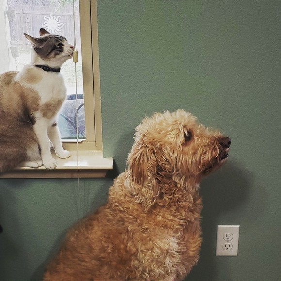 Meet your Posher, Mj - Picture 1 of 1